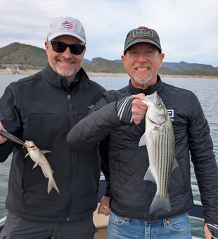 Striped bass and hardhead sea catfish from Lake Pleasant!