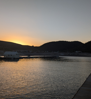 Clear skies promise the best fishing day in Morristown!