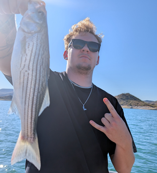 Striped Bass action in Morristown under clear skies!