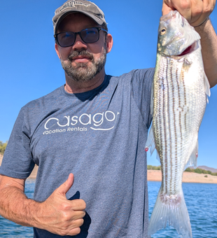 Striped Bass adventure: Jigging and trolling under clear Arizona skies!