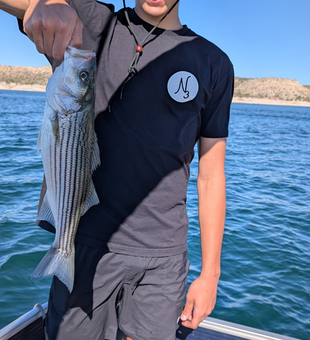 Lake Pleasant striped bass success story!