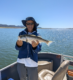 Lake Pleasant striped bass making the day worthwhile!
