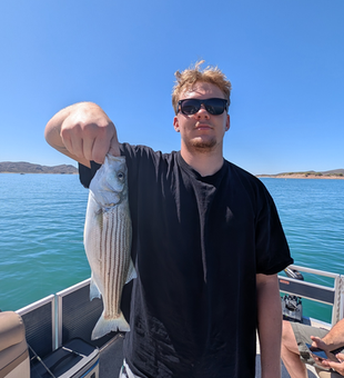 Reeling in success with this beautiful Striped Bass!
