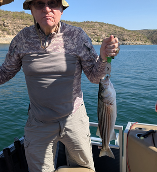 Reeling in a 12-inch Striped Bass with light tackle finesse!