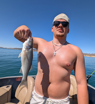 Striped Bass action with light tackle in clear Morristown skies!