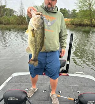 Trophy catch! Largemouth bass in full display.