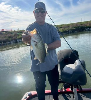 Monster bass! Largemouth beauty up close.