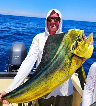 Mahi-mahi magic in NC!