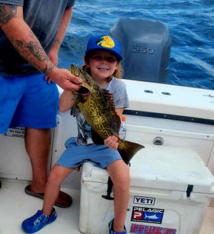 Awesome Gulf of Mexico grouper catch!