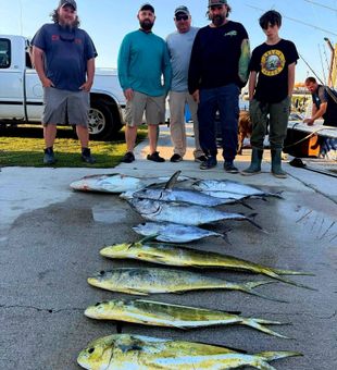 Outstanding mahi mahi and bluefin tuna haul from Sneads Ferry!