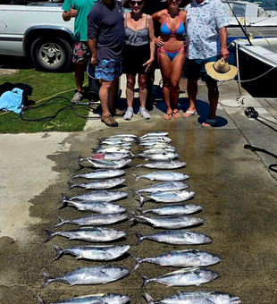 Outstanding King Mackerel and Atlantic Bonito haul in Sneads Ferry!