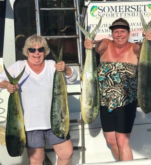 Key Largo Mahi Bliss