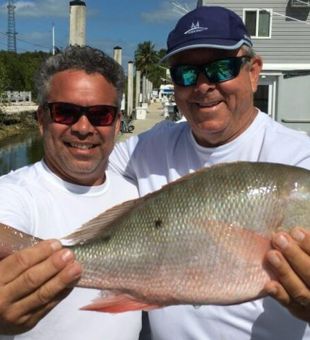 Key Largo's prized Mutton Snapper 