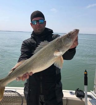 Catch a Kingfish today!