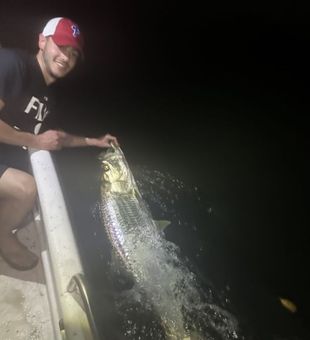 Trophy Fish Caught: Huge Tarpon