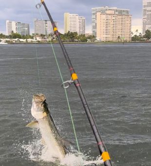 Make Memories: Fort Lauderdale Fishing Charters