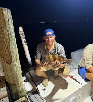 Sheepshead at Night - 
Mobile Bay, AL.