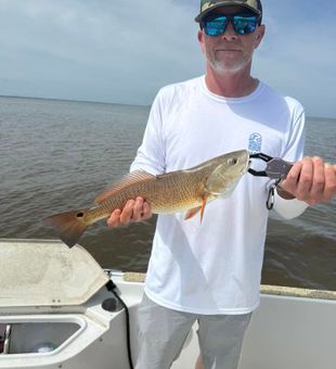 Hot Redfish Catch