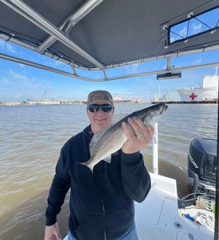Solid speckled trout catch under blue skies!