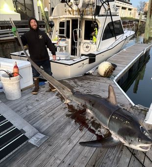 Offshore fishing action in Virginia Beach