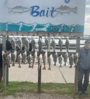 Fishing guides aransas pass texas