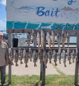 Rockport fishing guides