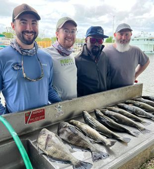 Great catch! Speckled trout & sheepshead. 🎣