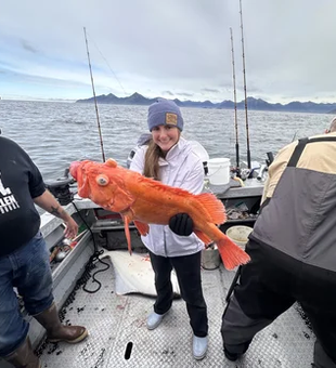 Vibrant Alaska rockfish on a private fishing charter