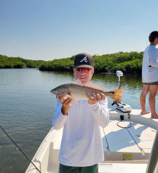 Energetic redfish hookup!