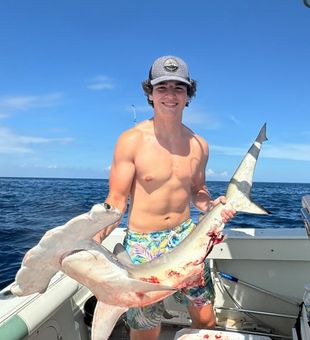 Who's the predator now? FL Sharks don't disappoint