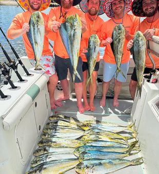 Mahi limit reached! Miami Florida surely is full!