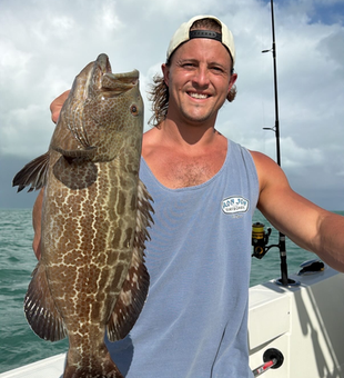 Beautiful black grouper landed in Biscayne Bay!