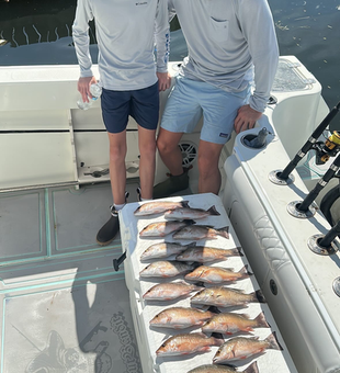 Nice grey snapper action today using deep sea jigging and trolling techniques!