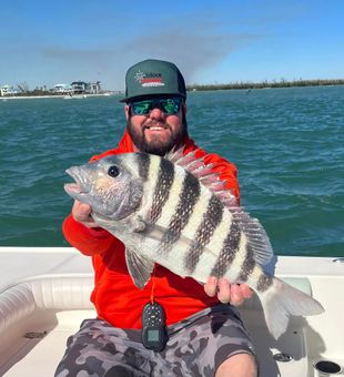Sheepshead catch on Florida fishing charters