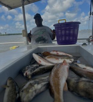 Port Arthur burbot and redfish filling the cooler!