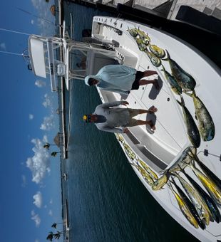 Mahi Mahi Magic in the Keys