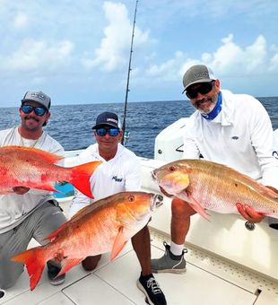 Cudjoe Key Snapper Action 
