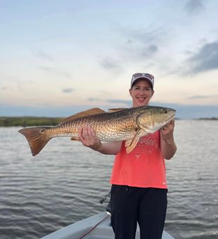 Reel in the Majesty of Redfish.