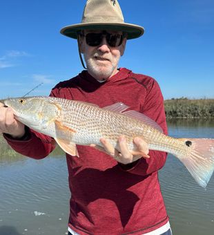 Beautiful Georgia redfish 