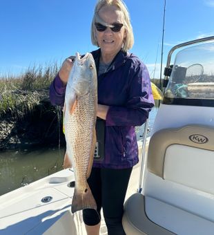 Sight casted a nice 24.5” redfish