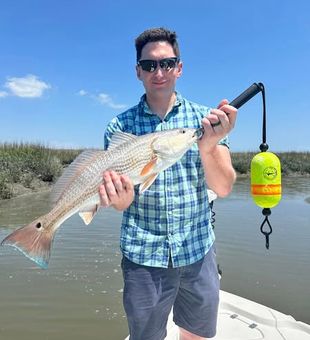 Clean Red fish Catch! -  Midway, GA.