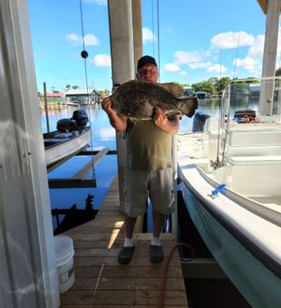 Big Tripletail catch in calm Old Town waters!