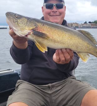 Walleye Reeled In! - Ludington, MI.