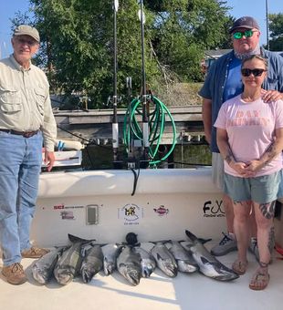 Decent Salmon Haul - Ludington, MI.