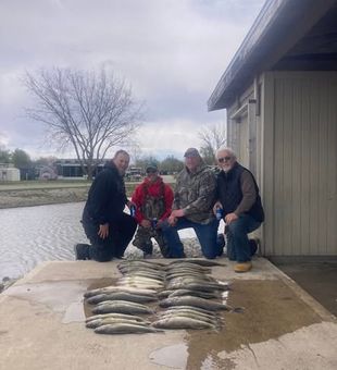Chasing Michigan salmon and walleye in Ludington—where Lake Michigan fishing dreams come alive.