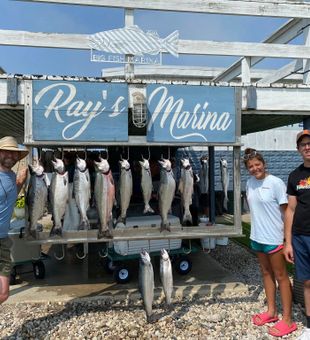 Lake Michigan salmon haul today