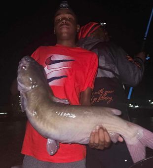 Catfish Hooked up on the Detroit River