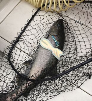 Captain Jay puts us right on the fish