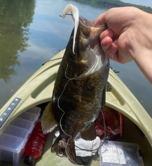 PA Bass Fishing Fun