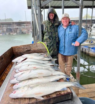Rainy Striper catch on Lake Texoma